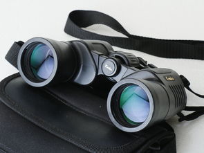 探索日本雙筒望遠鏡 代購渠道、價格解析與二手市場指南